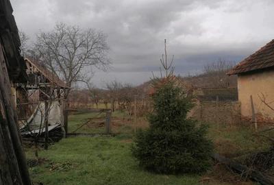 Casă cu 3 camere în Central