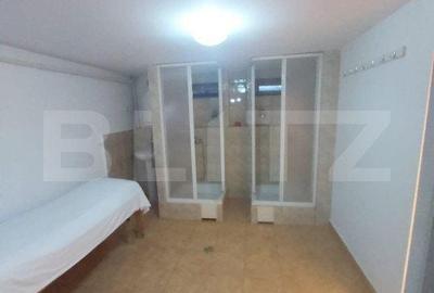 Spațiu comercial, de 100 mp, în Paltin - 4