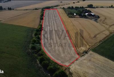 Teren de 20000 mp, în Șag - 4