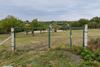 Teren de 1584 mp, în Pișchia - 10