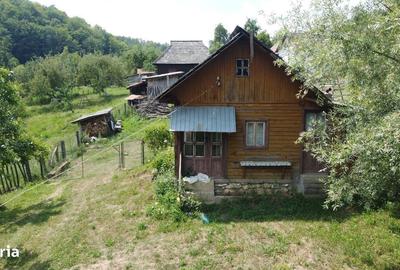 Spațiu comercial, în Cicănești - 13