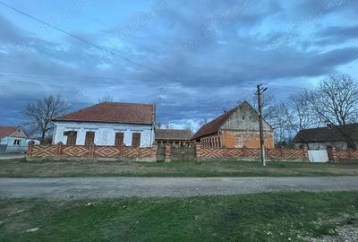 Casă în Drăgoiești - 1