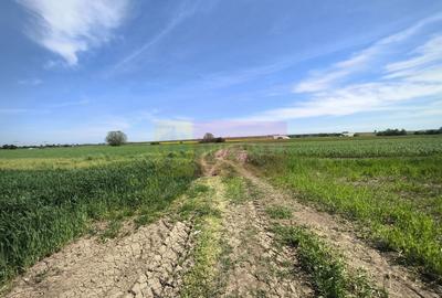 Teren Construcții intravilan de 2200 mp, în Dărăști-Ilfov - 13
