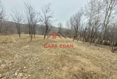 Casă cu Teren 1358 Mp în Gura Beliei - 19