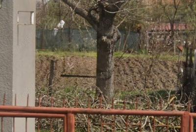 Casă cu 2 camere cu Teren 1000 Mp în Ocna Mureș - 3