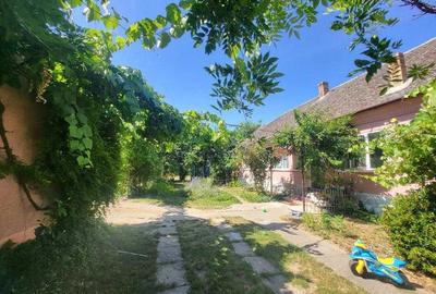 Casă cu 3 camere în Central - 1