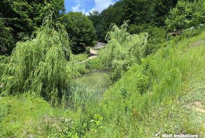 Casa de vacanta, cu lac, 5640 mp teren, Huta, com. Chiuiesti, jud. Cluj Casa de vacanta, cu lac, 5640 mp teren, Huta, com. Chiuiesti, jud. Cluj - 32