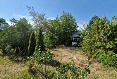 Casă cu 6 camere cu Teren 3000 Mp în Ruginești - 2