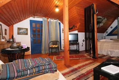 Vanzaere casa superba si 4000 mp teren la munte in Cheia Prahova cu parau care trece prin gradina - 6
