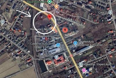 Teren Construcții intravilan de 4818 mp, în Gherăiești - 4