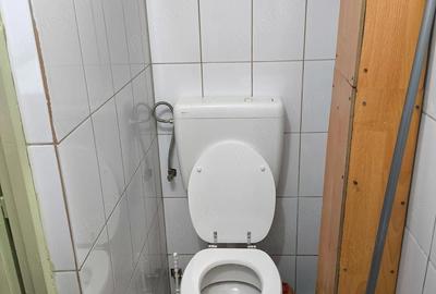 Garsonieră nedecomandată în Țiglari - 10