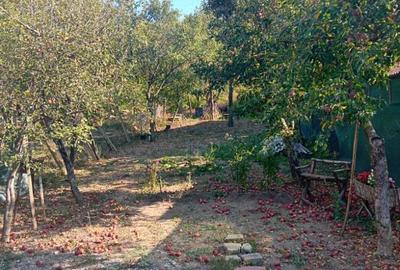 Casă cu 1 camere în Turda - 10