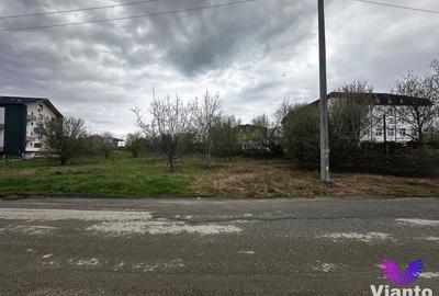 Teren Construcții intravilan de 2000 mp, în Turnișor - 3