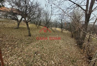 Teren intravilan in Breaza,1358 mp, 40.000e - 13