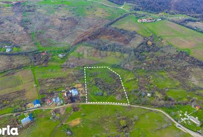 Teren de 33500 mp, în Bucov - 15