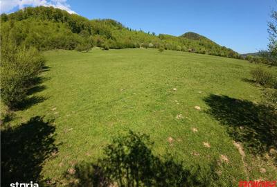 Teren de 5370 mp, în Oituz - 2