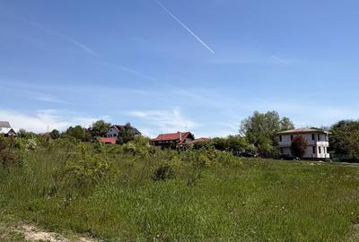 Spațiu comercial, în Brănești - 5