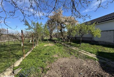 Casă cu 3 camere cu Teren 1200 Mp în Central - 11