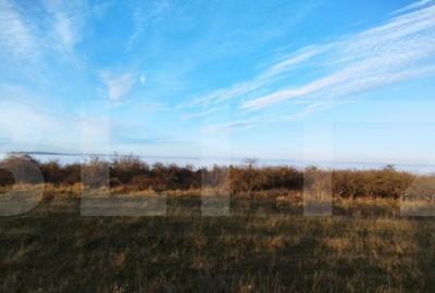 Teren PUZ finalizat, zona Wonderland, pt casa individuala sa - 3