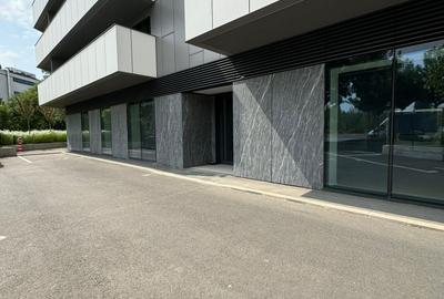 Spatiu Comercial | Stradal | 338 m2 | Trafic intens | Vitralii | - 11
