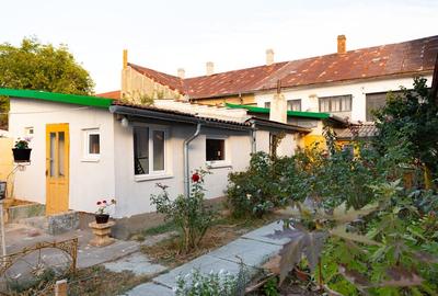 Pecica, jud. Arad, casa de vanzare - 5