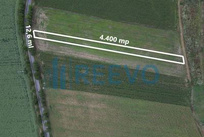 Teren de 4.400 mp Racova - 5