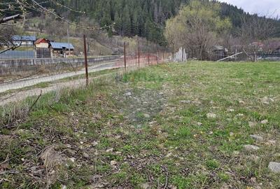 Teren Construcții intravilan de 1520 mp, în Hangu - 9