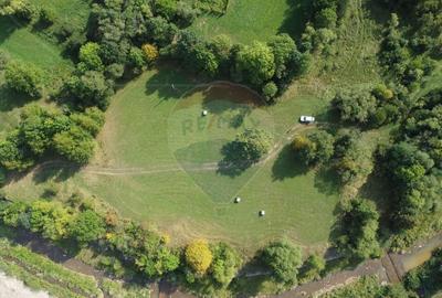 Teren Construcții intravilan de 10000 mp, în Călățele - 18