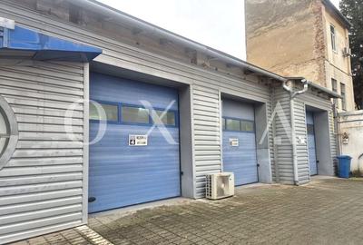 AX1154 Elisabetin, Hala Industriala Pentru Diferite Activitati - 9