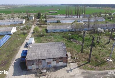 Teren de 180000 mp, în Gai - 5