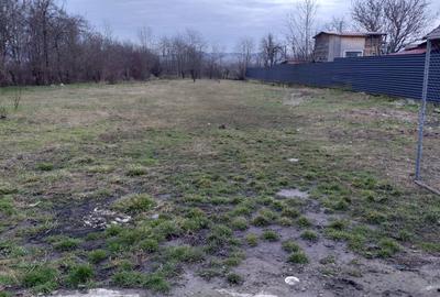 Spațiu comercial, în Răscruci - 6