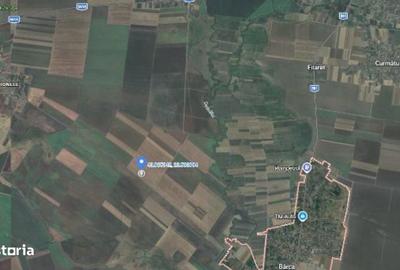 Teren de 5140 mp, în Radovan - 3