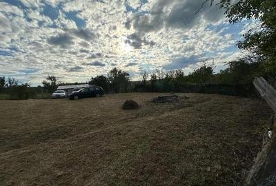 Teren de 1190 mp, în Soceni - 2