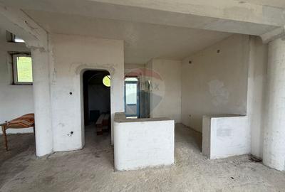 Casă individuală cu 6 camere cu Teren 2681 Mp în Buciumi - 7