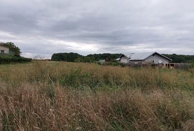 Teren de 4100 mp, în Tâncăbești - 2