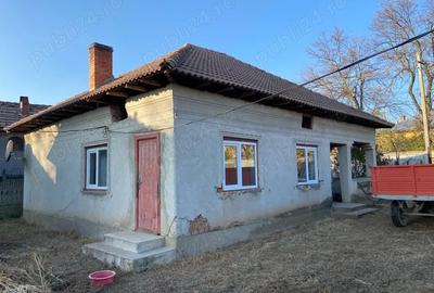 Casă cu Teren 2300 Mp în Daneți - 1