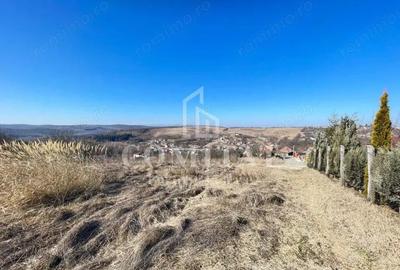 Teren cu potential de investitie 2430 mp si drum de acces - 2