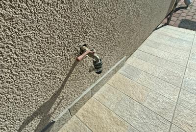 Duplex cu 3 camere cu Canalizare în Dumbrăvița - 19