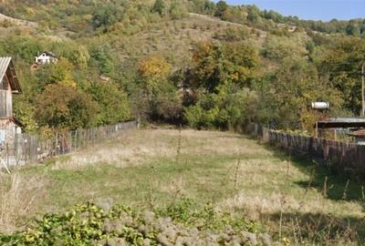 Teren de vanzare Drajna de Sus, zona buna pentru case vacanta - 2