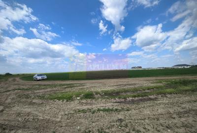 Teren Construcții intravilan de 12450 mp, în Poșta - 5