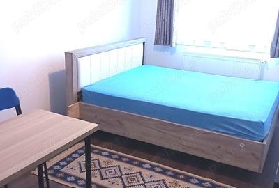 Garsonieră decomandată în Roșu - 8