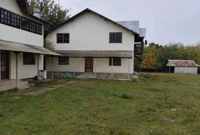 Spațiu comercial, de 240 mp, în Ștubeiu - 19