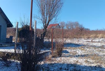 Teren Construcții intravilan de 1616 mp, în Bârnova - 1