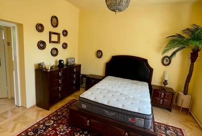 Casa individuala Musicescu. Timisoara - 10