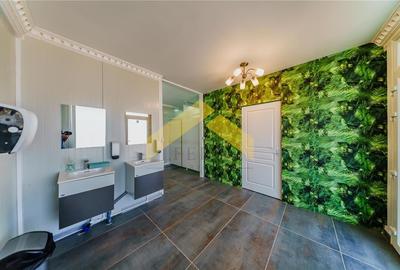 Oportunitate investitie domeniu de agrement si sala de evenimente de vanzare - 7