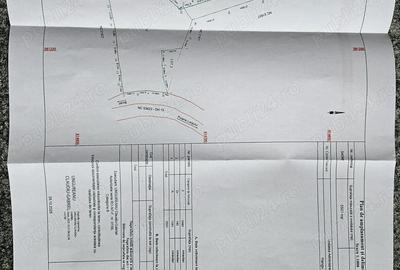 Teren de 5500 mp, în Buhalnița - 1