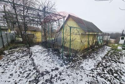 Teren Construcții intravilan de 4516 mp, în Doina - 16