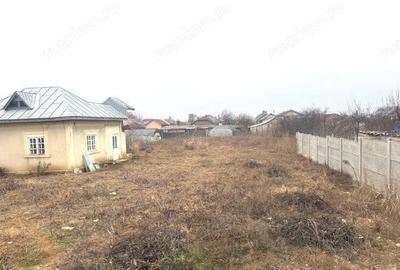 Casă cu 1 camere cu Teren 1142 Mp în Curtișoara - 1