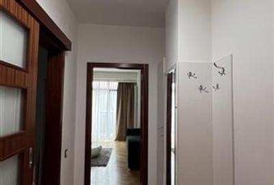 Inchiriere apartament 2 camere decomandate modern bloc nou Central zona Platinia - 5
