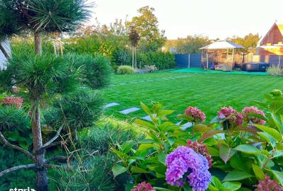 Casă cu 7 camere cu Teren 710 Mp în Burdujeni - 4